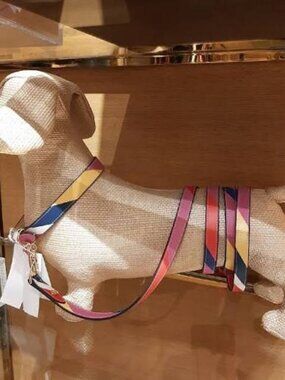 Tory Burch DOG LEASH Multi Stripe